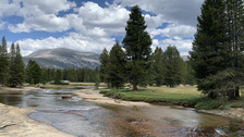 Lyell Fork of the Tuolumne River in Lyell Canyon